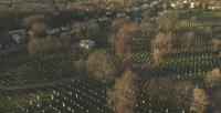 Saint Mary Cemetery image 7